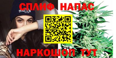 ГАЛЛЮЦИНОГЕННЫЕ ГРИБЫ Пугачёв